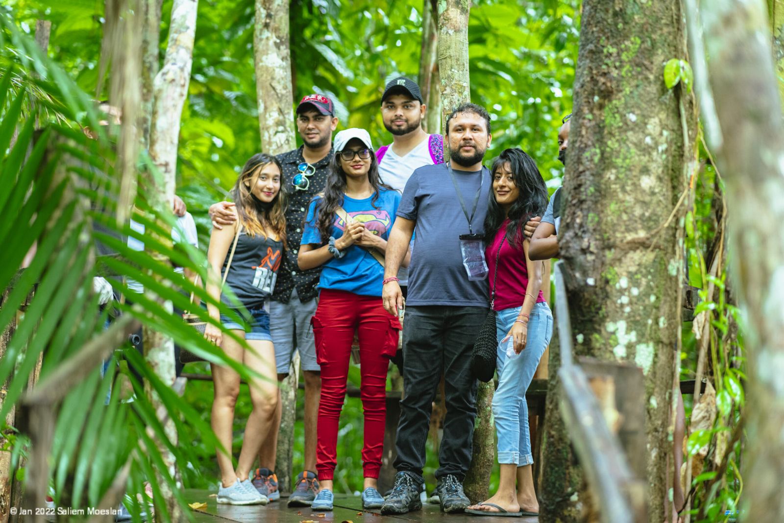 Rainforest trek