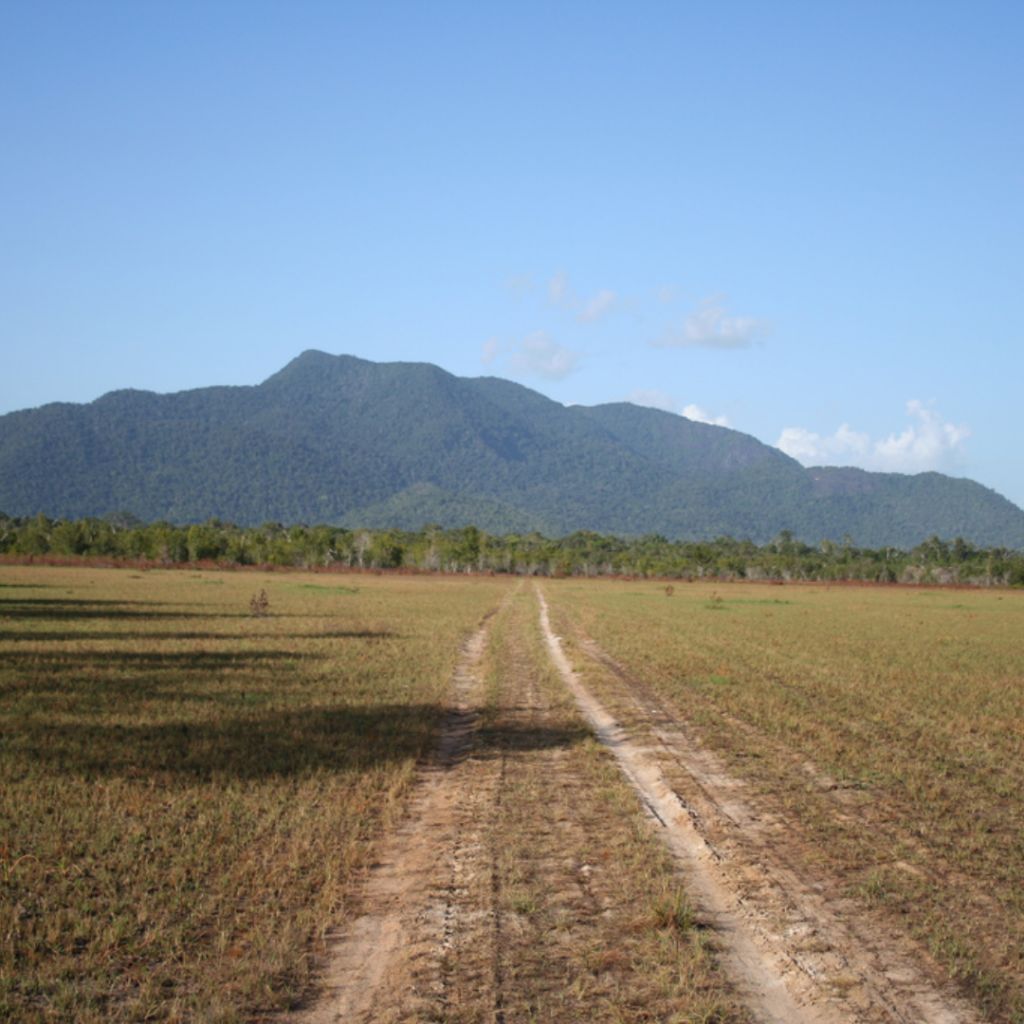 Rupununi savannah road